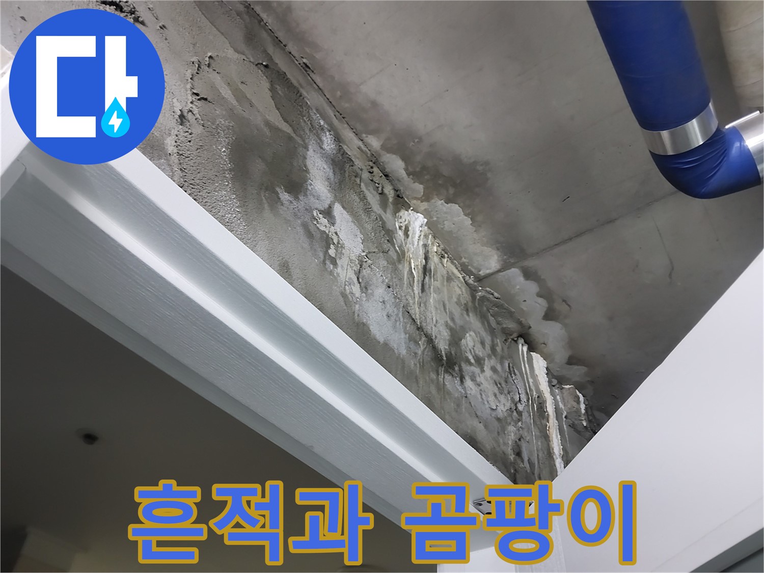 문 상단 천장 - 흔적과 곰팡이 - 누수 흔적과 함께 곰팡이가 발생한 천장의 모습입니다.