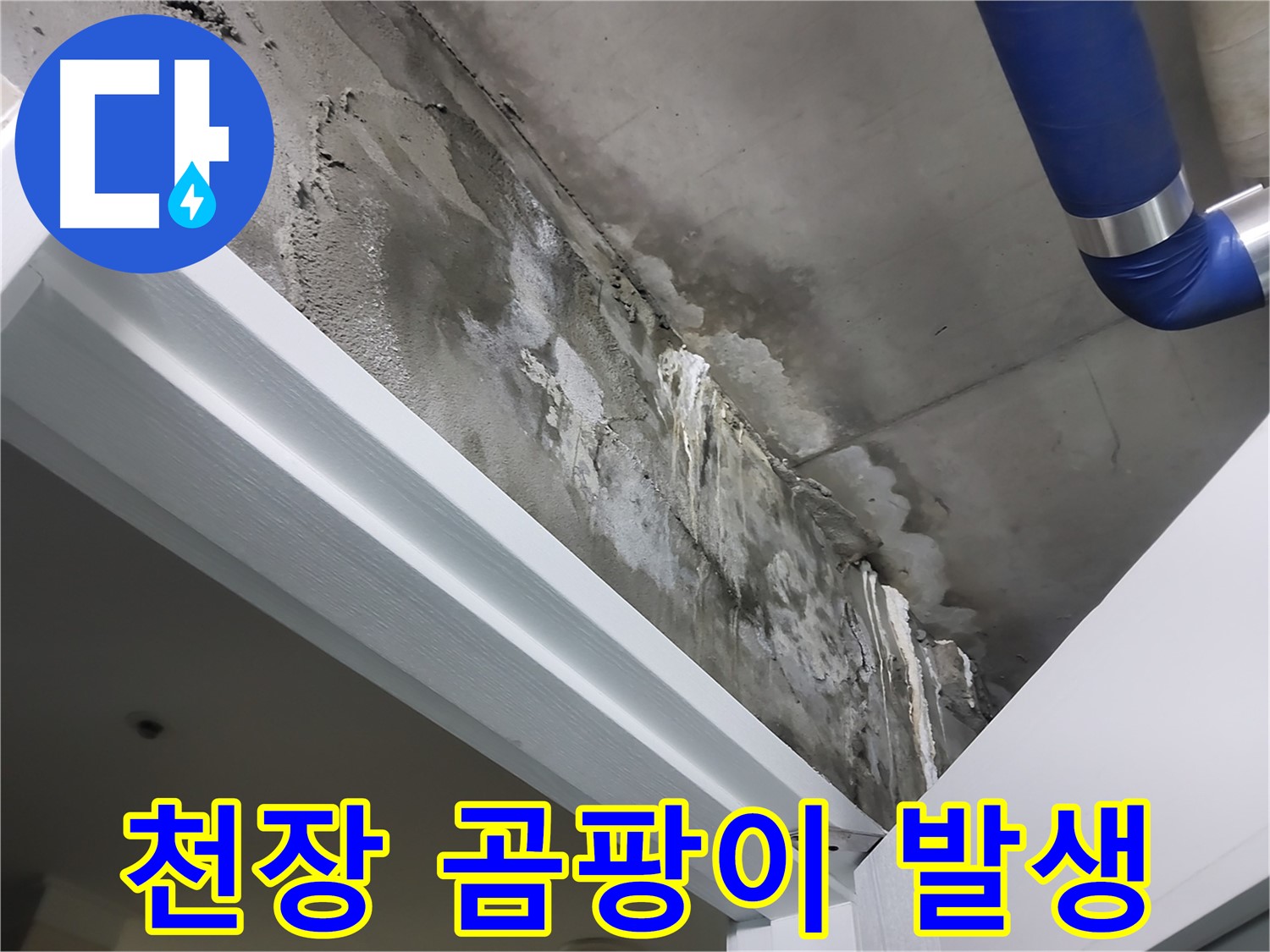 문 위 천장 - 곰팡이 발생 - 누수로 인해 천장에 곰팡이가 발생한 모습을 보여주는 사진입니다.
