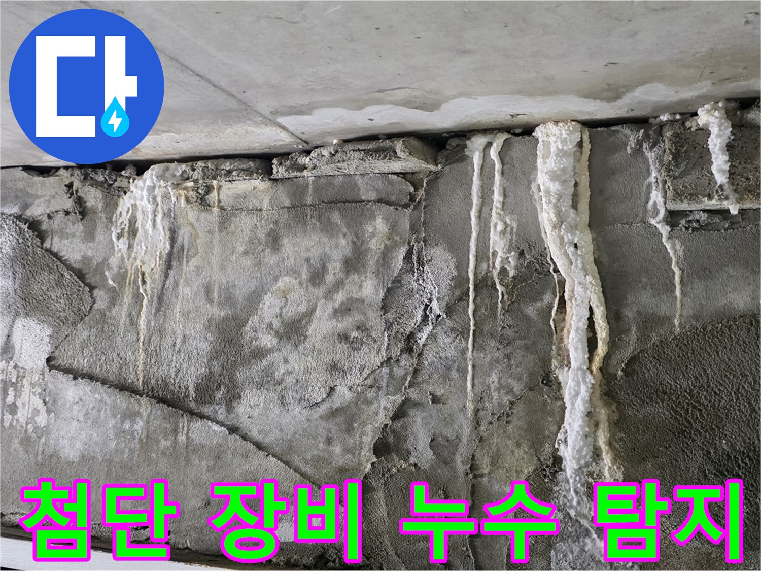 분당 누수 탐지 - 첨단 장비로 숨은 누수 검거
