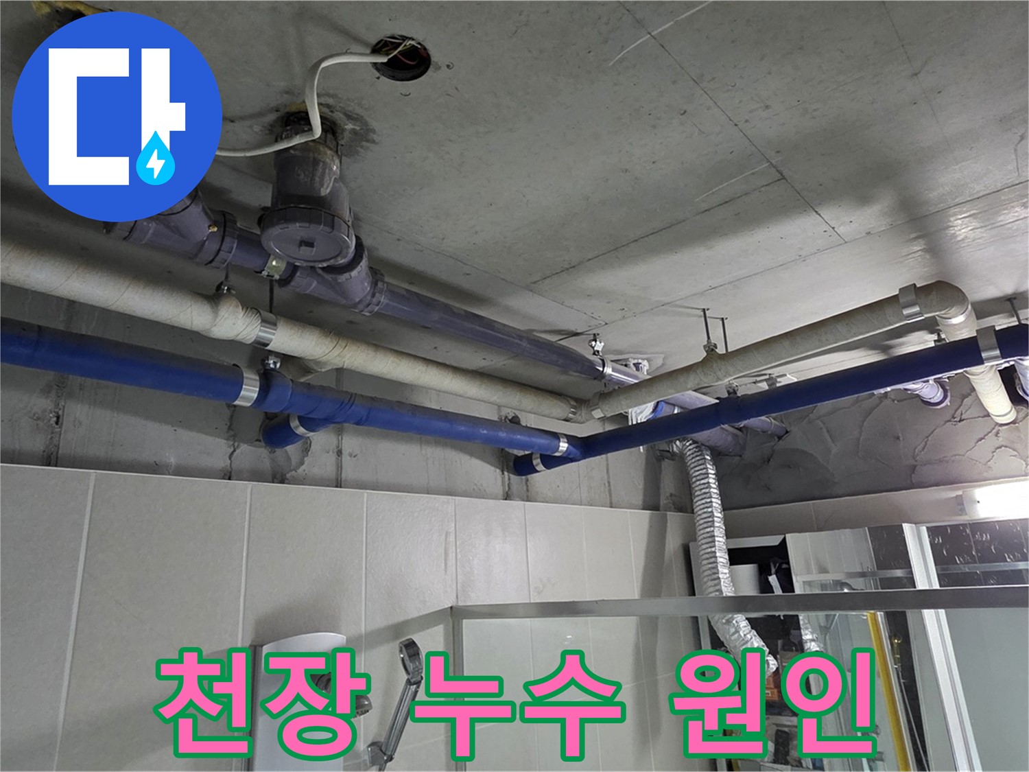 분당 운중동 산운로 6단지 아파트 윗집 천장 누수 - 누수 원인을 정확히 진단하고 완벽하게 해결했습니다.