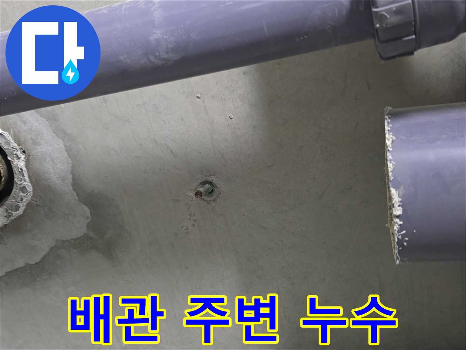 분당 운중동 산운로 산운마을6단지 아파트 누수 현장에서 배관 주변의 누수 흔적을 보여주는 사진 - 꼼꼼한 관찰로 누수를 찾아냅니다.