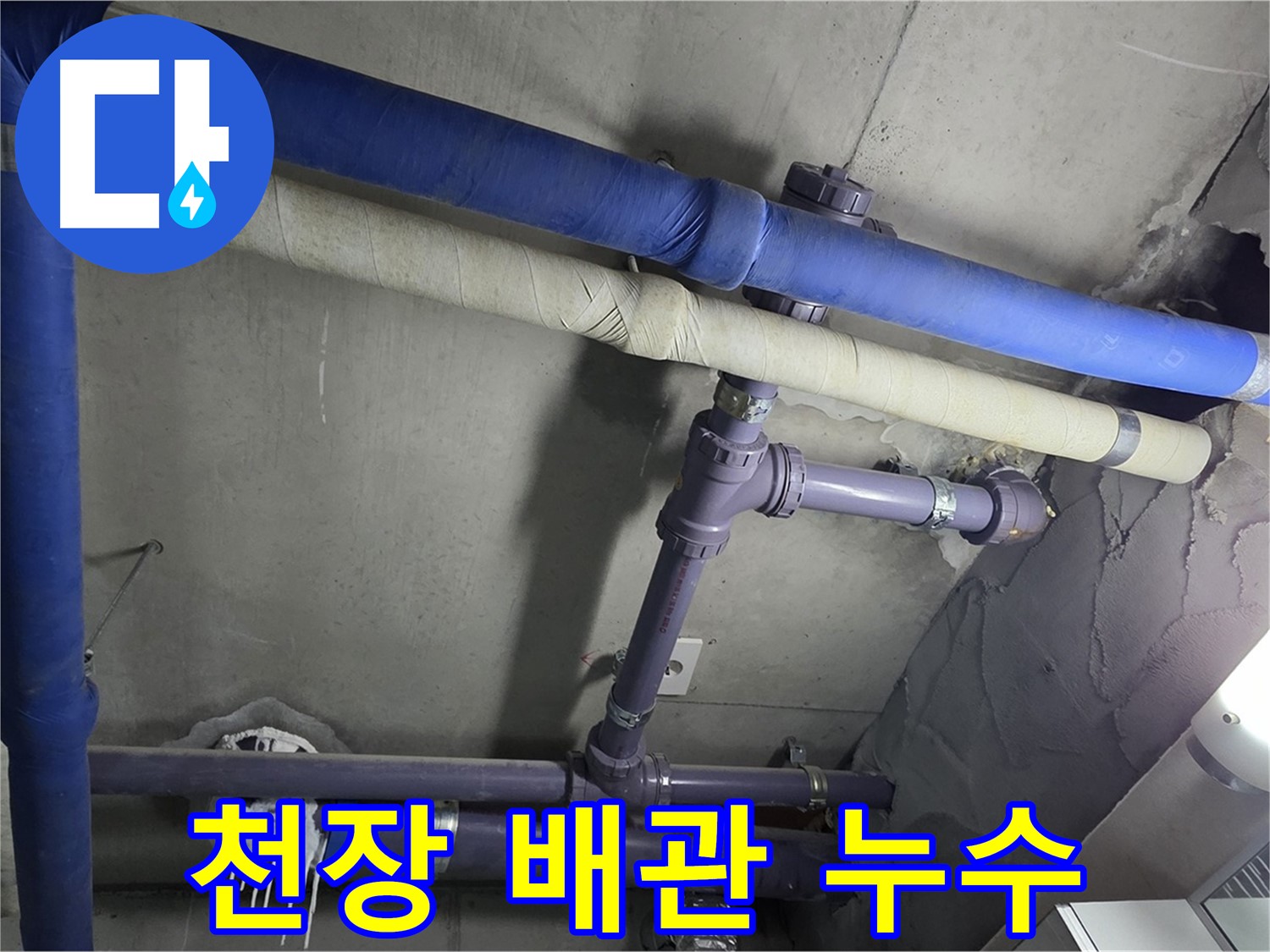 분당 운중동 산운마을 6단지 아파트 천장 배관 누수 - 꼼꼼한 점검으로 숨겨진 누수 지점을 찾아냅니다 - 정확한 진단이 중요합니다.