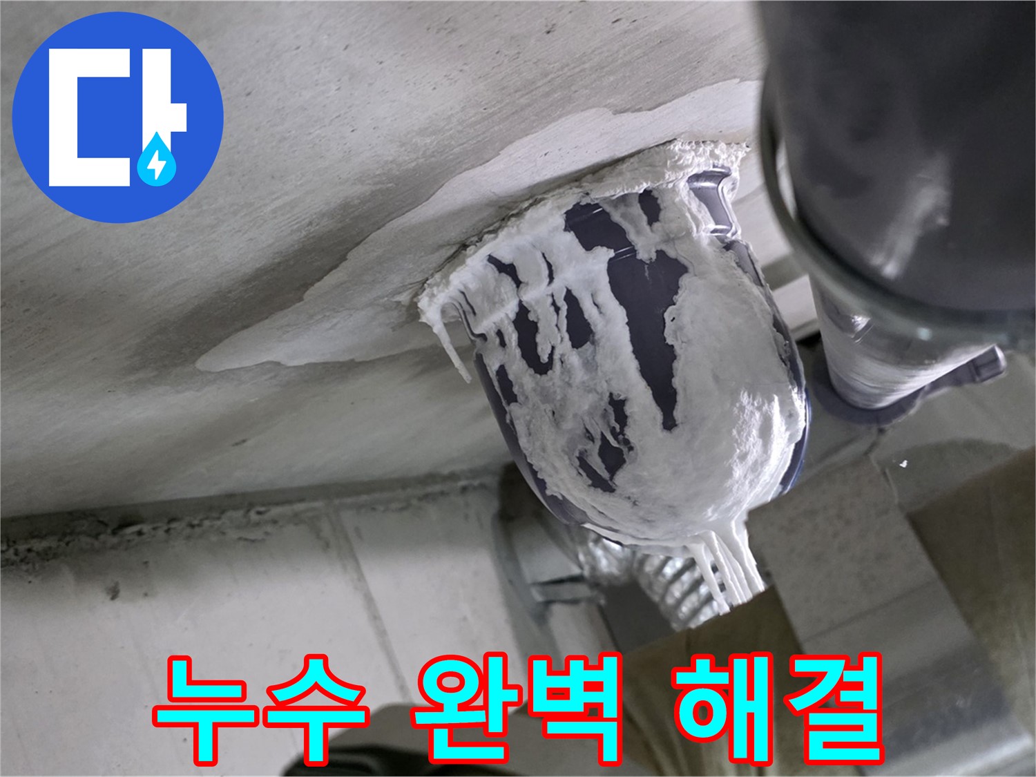 분당 운중동 산운마을 - 완벽한 누수 해결로 고객 만족 극대화 완료