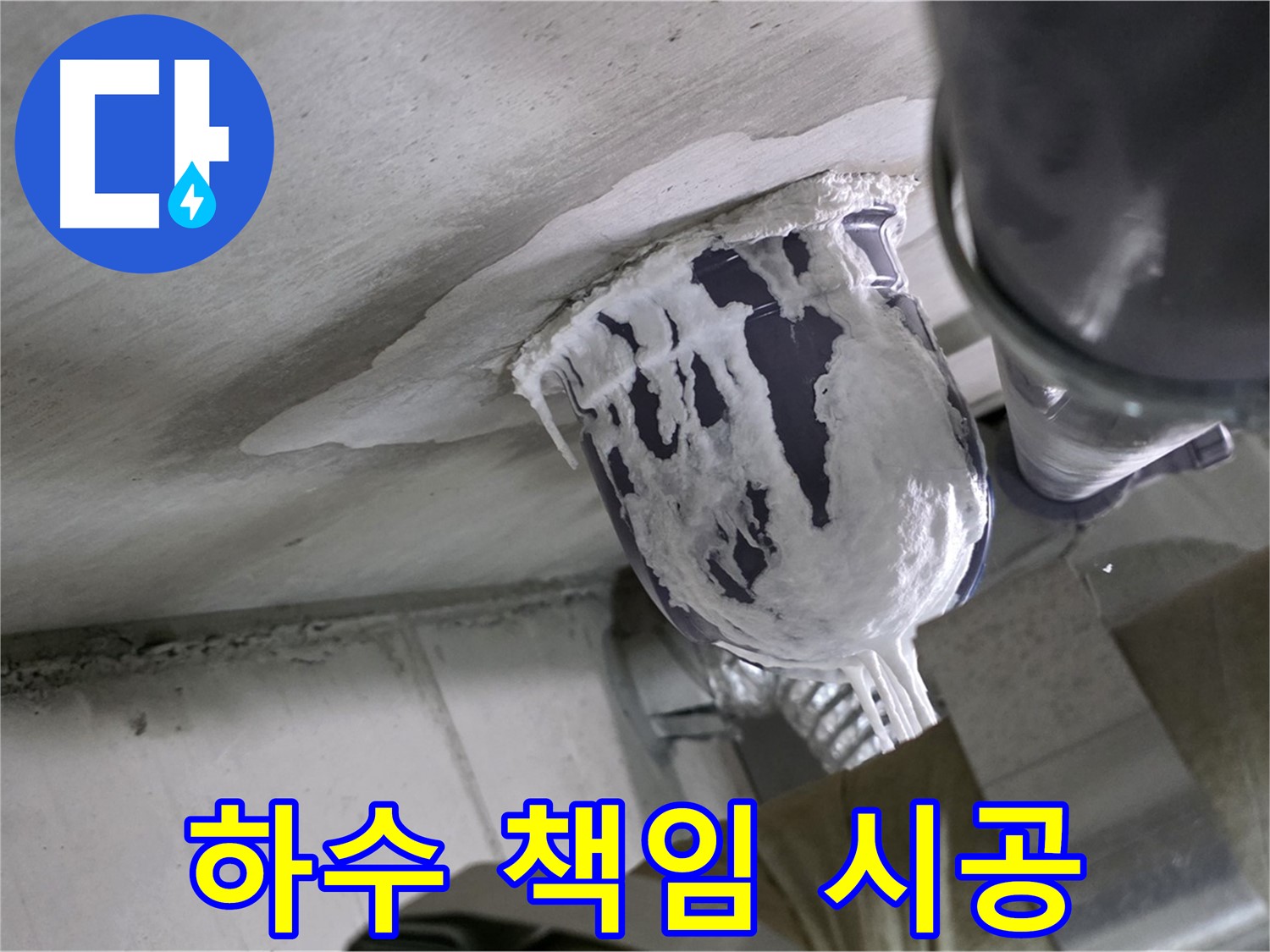분당 운중동 산운마을 - 하수 배관 누수, 책임지고 해결 완료