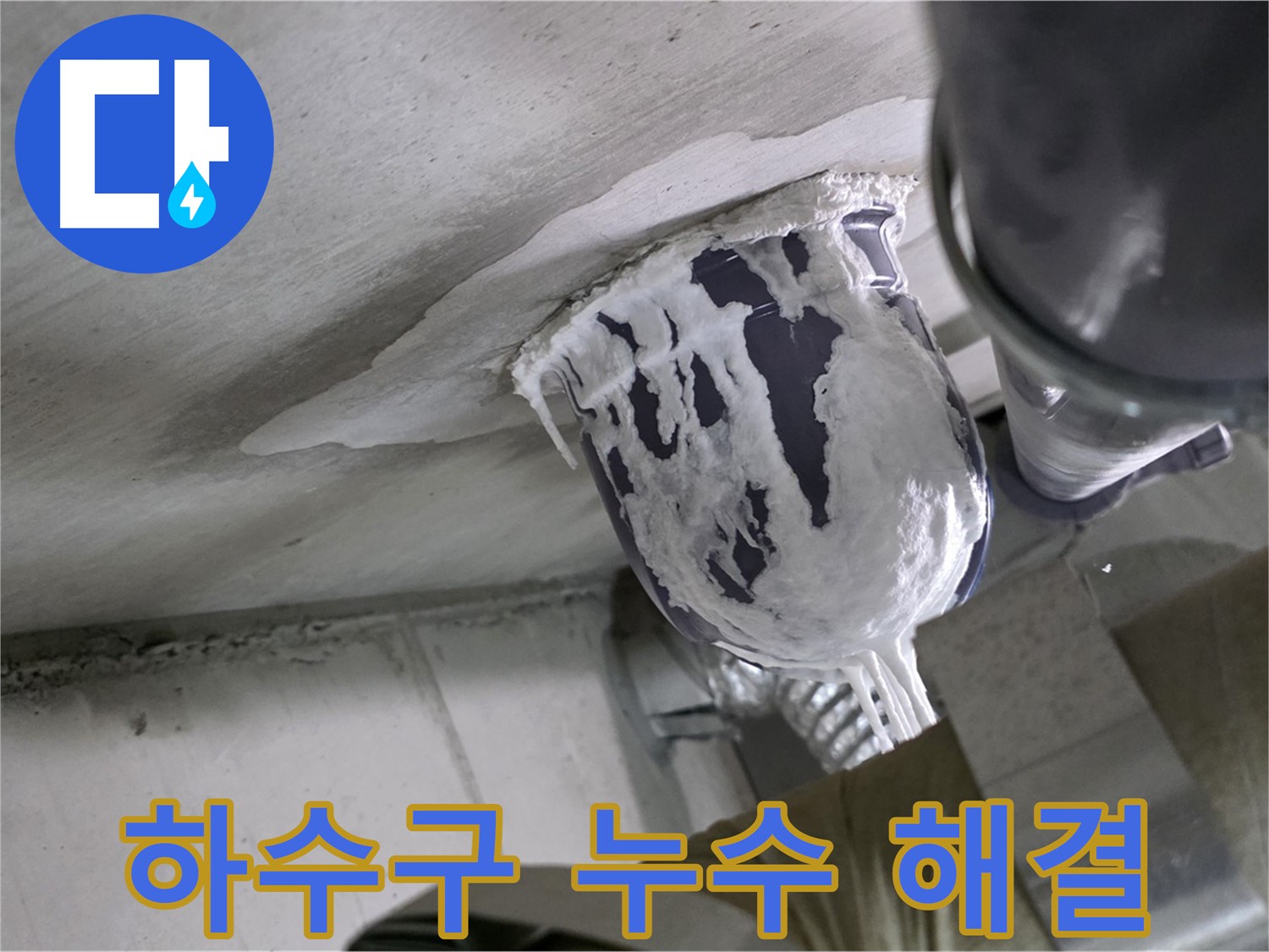 분당 운중동 아파트 누수 - 하수구 누수 문제, 완벽하게 해결 완료