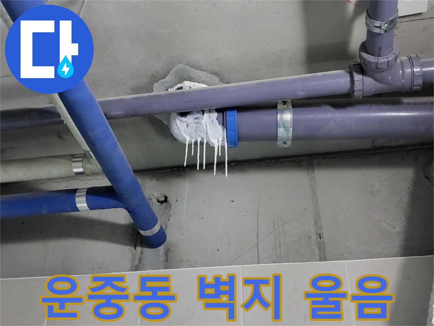 분당 운중동 하수 누수 - 벽지 울음과 곰팡이