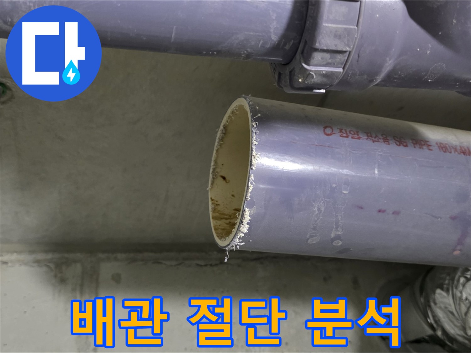 분당구 운중동 산운마을 누수 현장 - 잘려진 배관을 통해 누수 원인을 분석 시작 - 꼼꼼하게 살펴보겠습니다.