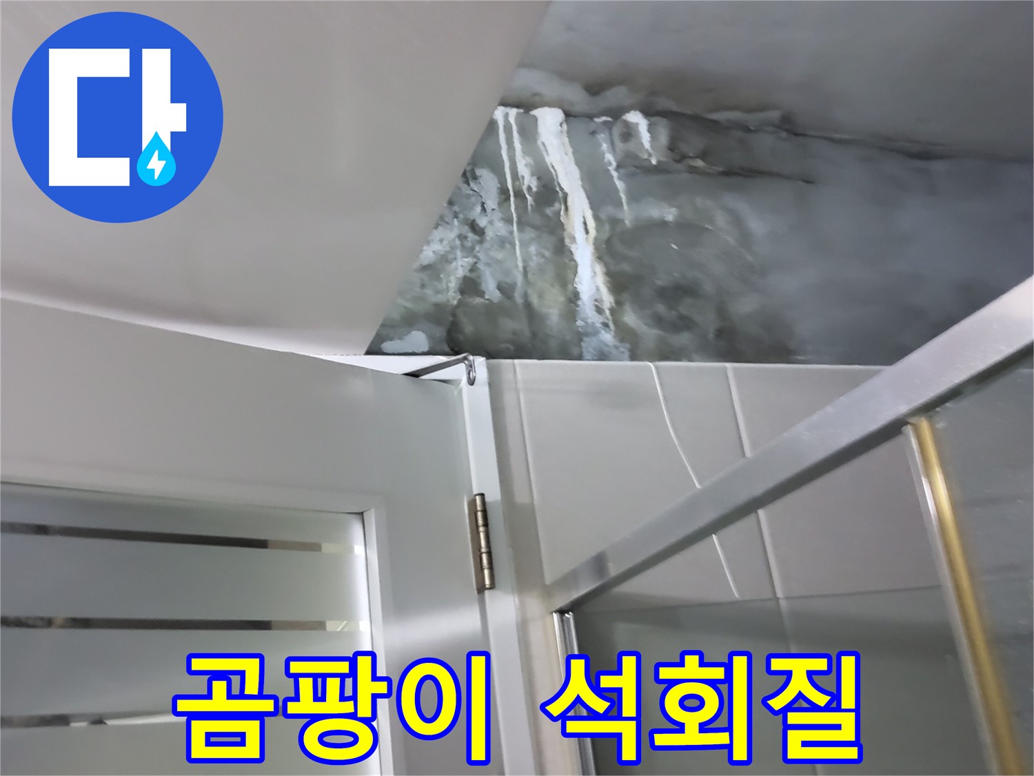 분당구 운중동 샤워부스 벽면의 곰팡이와 석회질 동시 발생 - 누수 원인 심층 분석