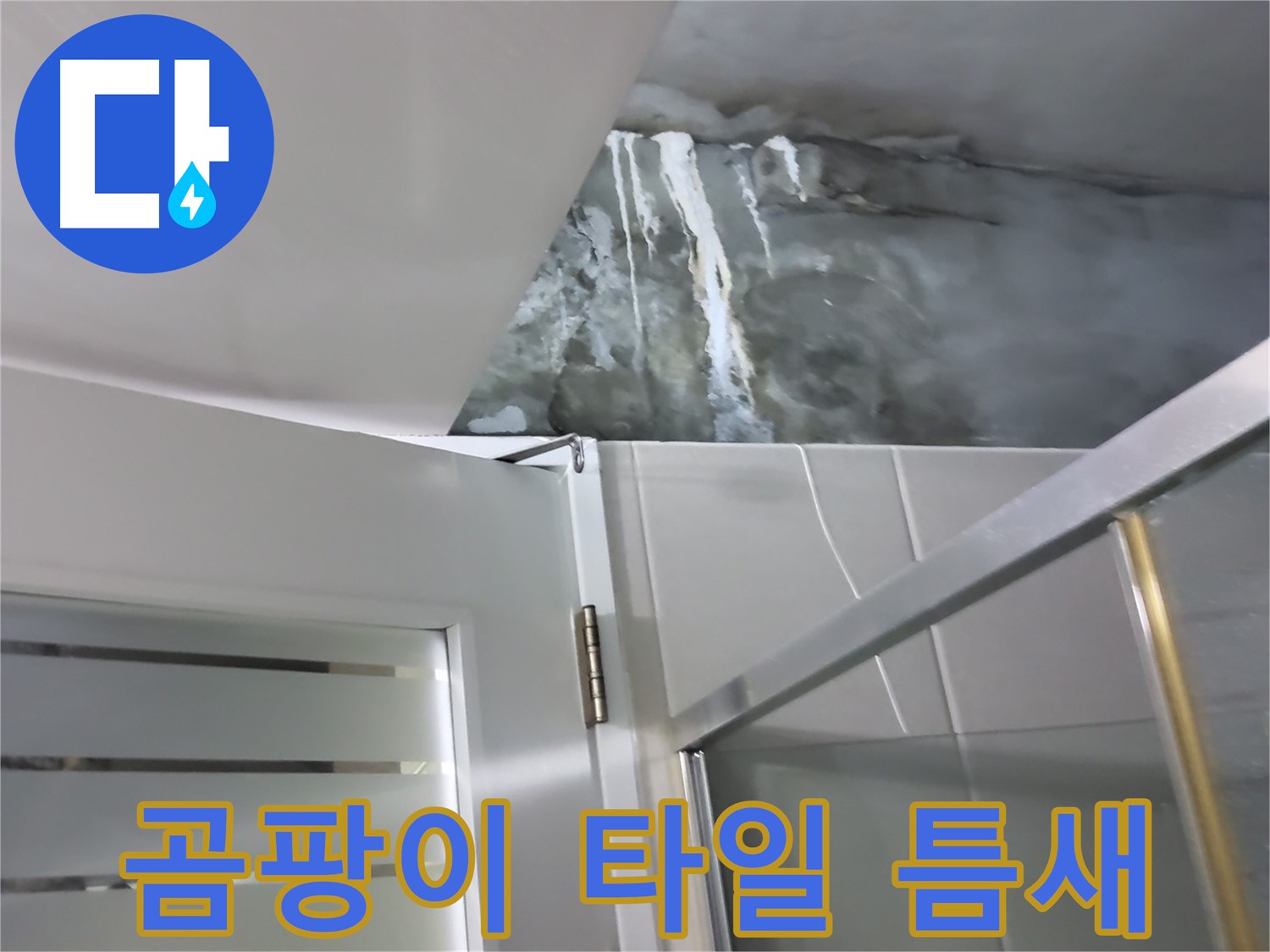 분당구 운중동 샤워부스 벽면의 심한 곰팡이 핀 흔적과 타일 틈새 오염 심층 확인 - 누수 원인 전문적 진단
