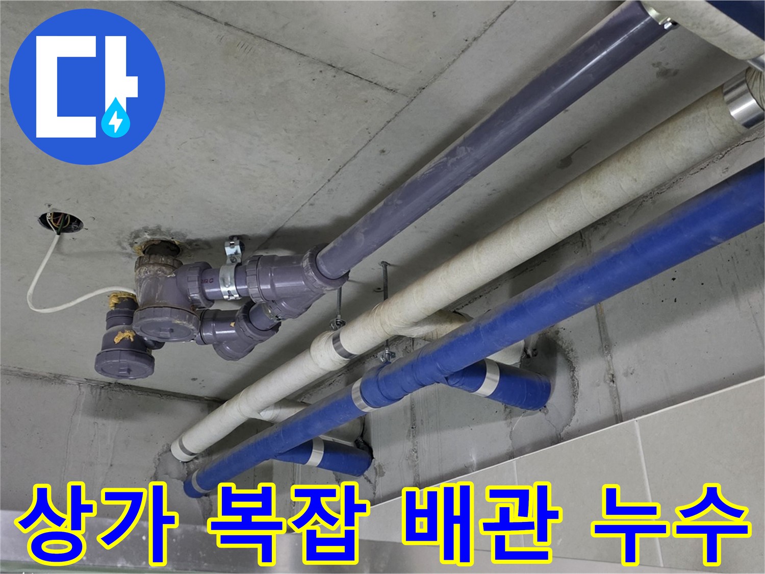 성남 분당 상가 복잡 배관 누수 - 꼼꼼한 점검과 확실한 해결