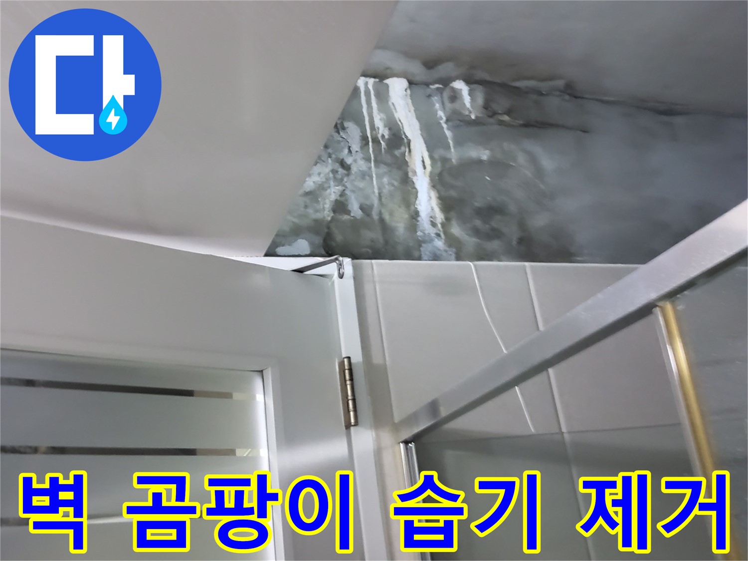 성남 분당 샤워부스 벽면 곰팡이 및 습기 제거 후 누수 점검 - 꼼꼼한 확인