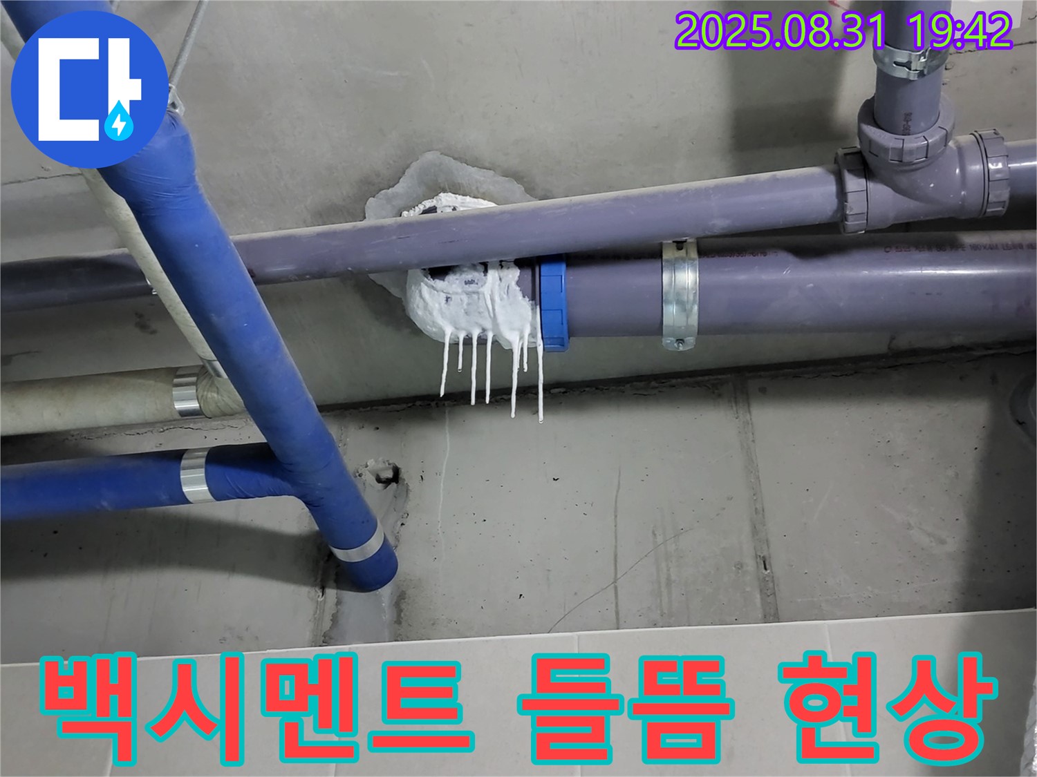 성남 분당 운중동 산운마을 6단지 욕실 누수 - 배수관 주변 백시멘트 들뜸 현상