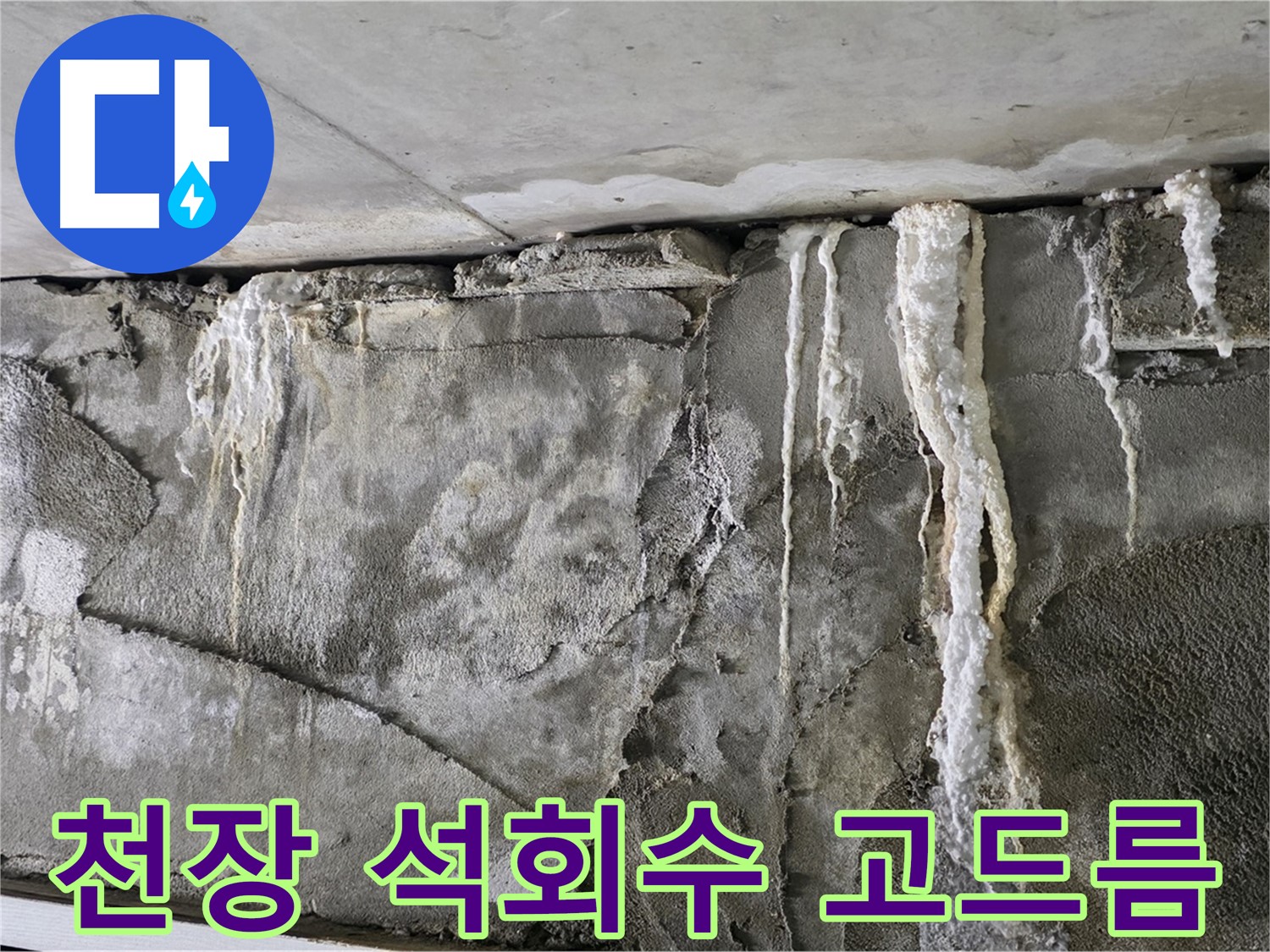 운중동 누수 - 천장 석회수 고드름, 건물 붕괴 위험