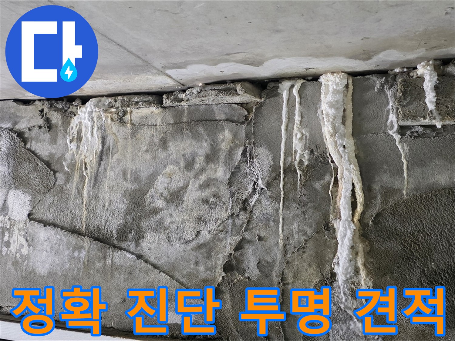 운중동 누수 탐지 - 정확한 진단과 투명한 견적, 고객 만족도 100%