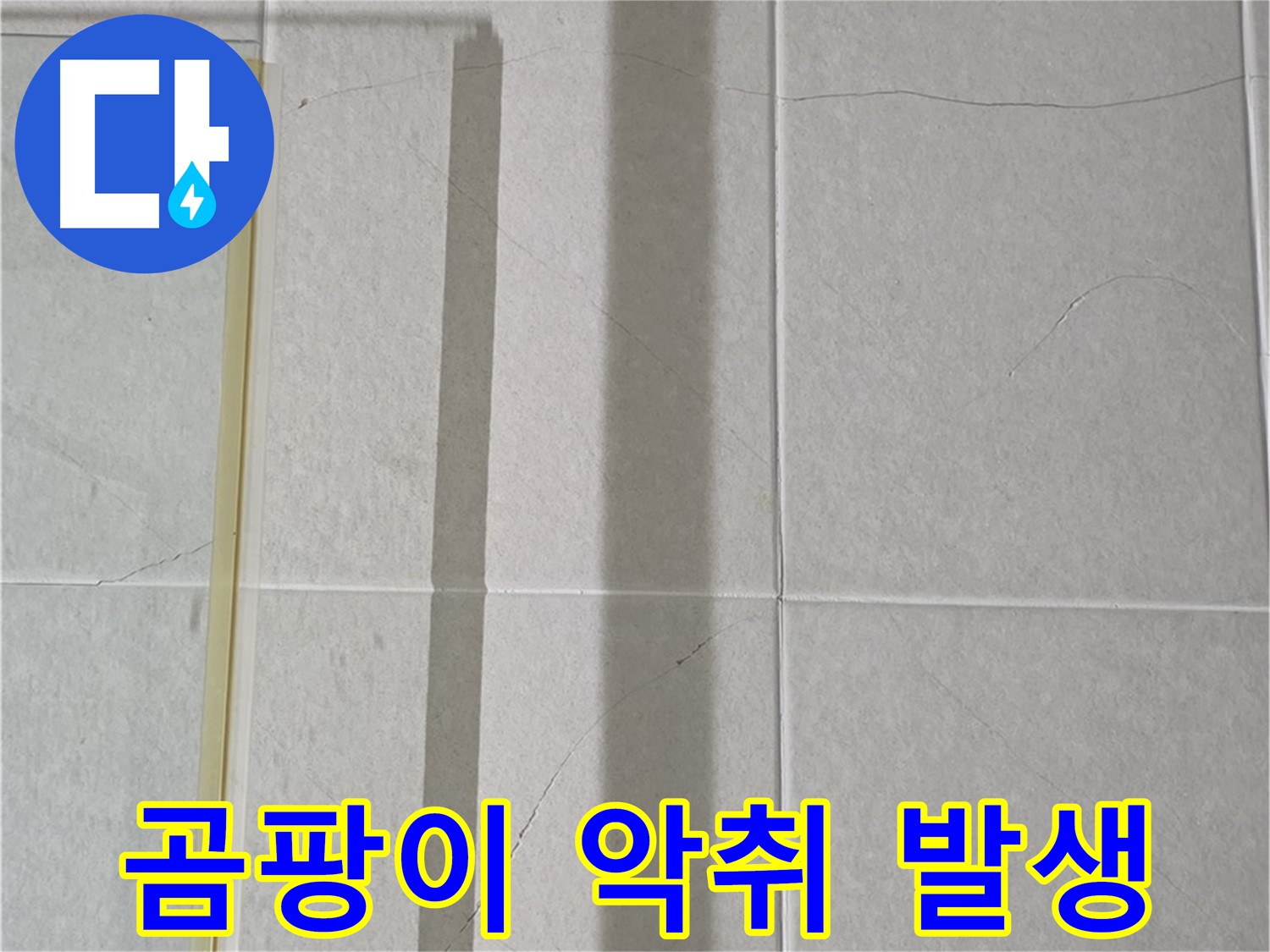 운중동 산운마을 6단지 샤워부스 - 벽면 누수, 타일 틈새 곰팡이 확산 및 악취 발생