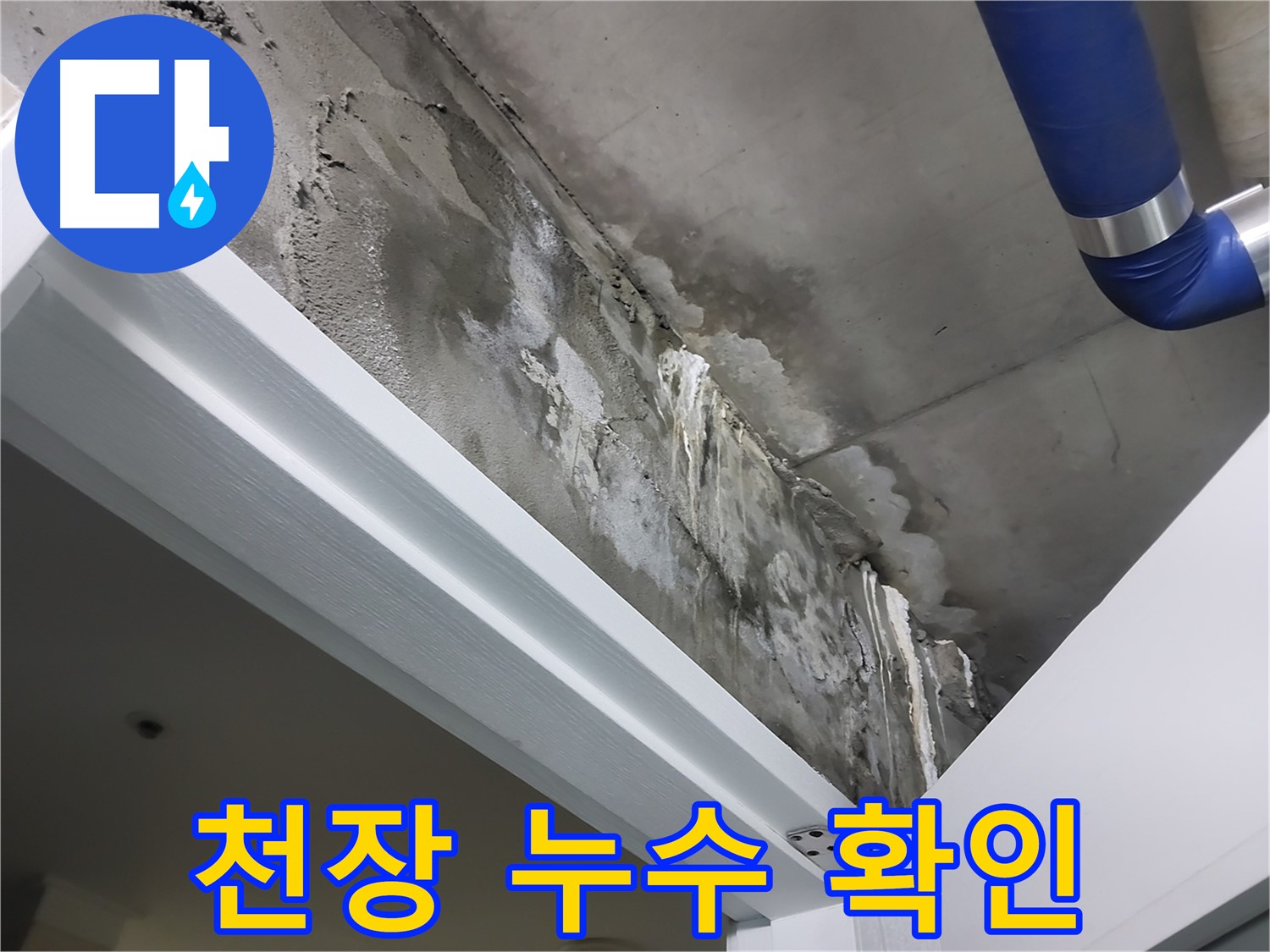 천장 누수 확인 - 누수가 발생한 천장 부위를 자세히 보여주는 사진입니다.
