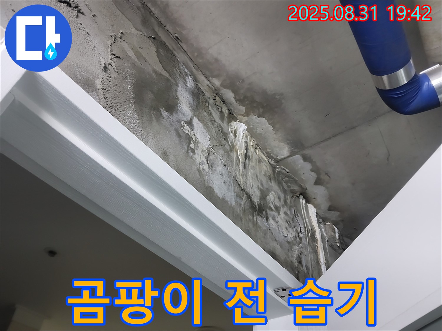 천장 습기 - 곰팡이 전조 - 천장 곰팡이 발생 전 습기가 가득한 상태를 보여줍니다.