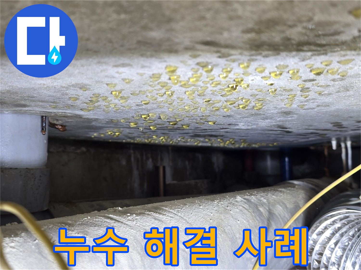 광진구 능동 빌라 천장 누수 - 누수 해결 성공 사례를 보여주는 이미지입니다.