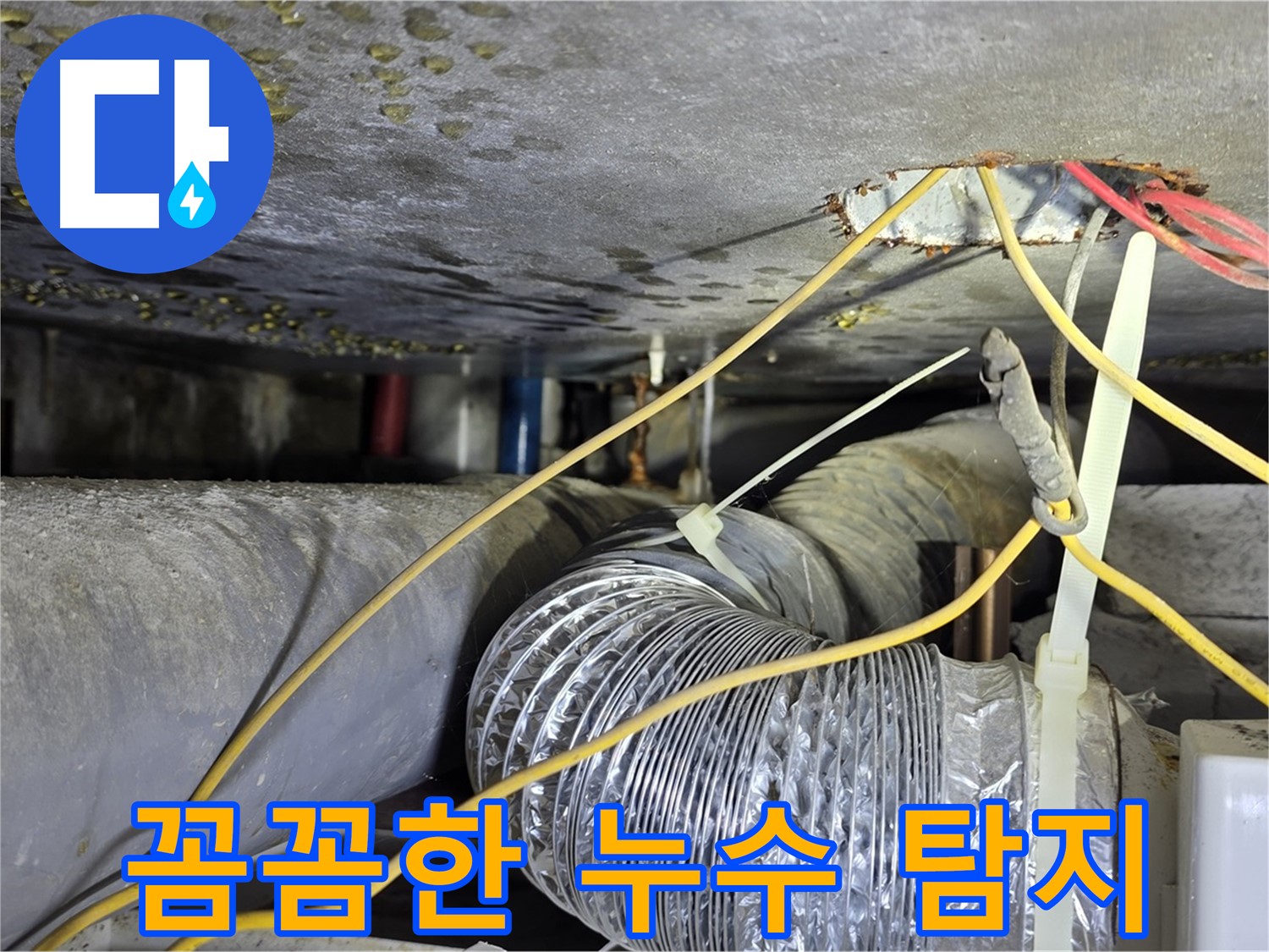 광진구 능동로 누수 - 작은 누수도 놓치지 않는 꼼꼼한 탐지