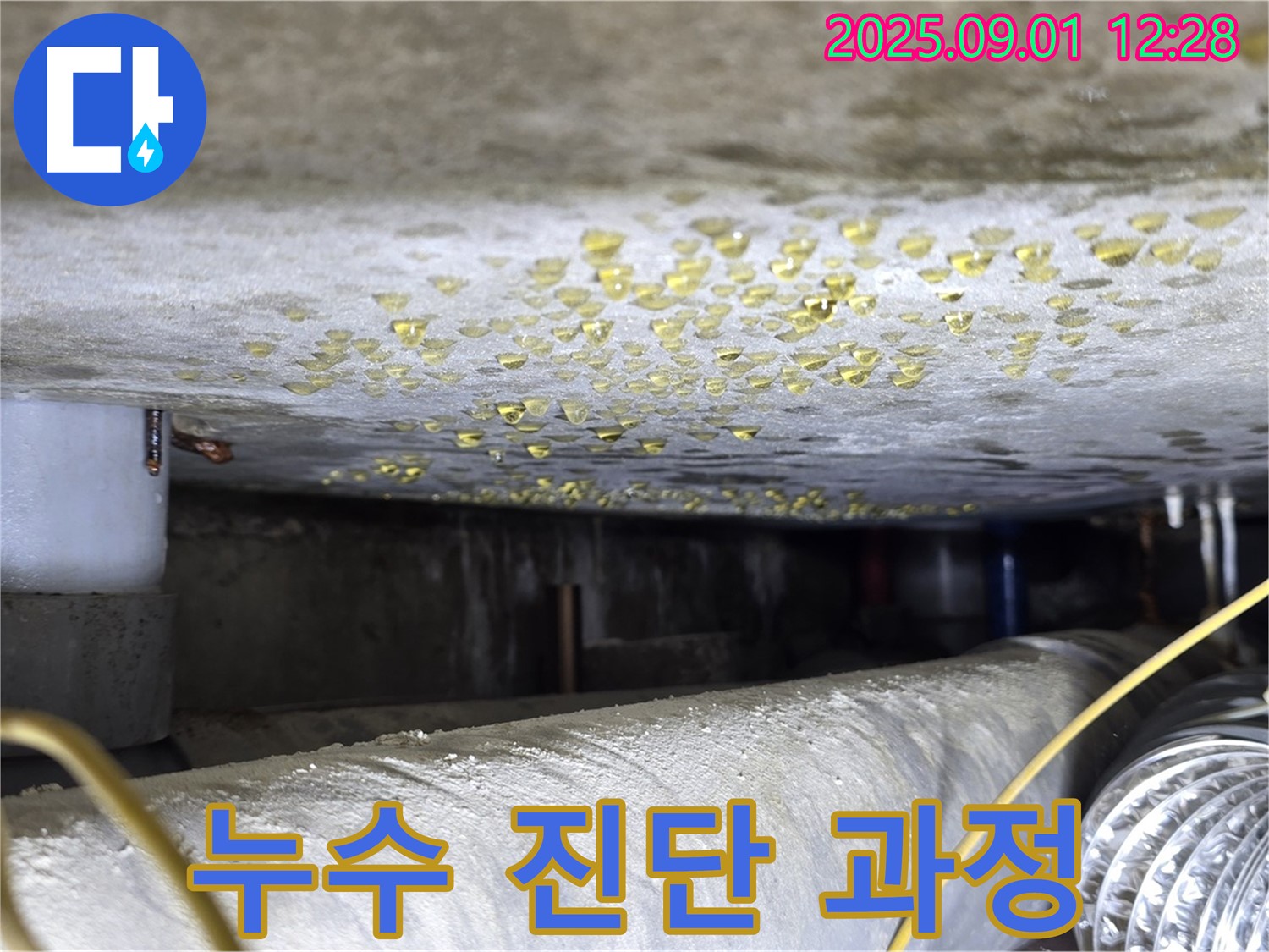 능동 빌라 누수 진단 과정 - 완벽한 진단과 책임 시공