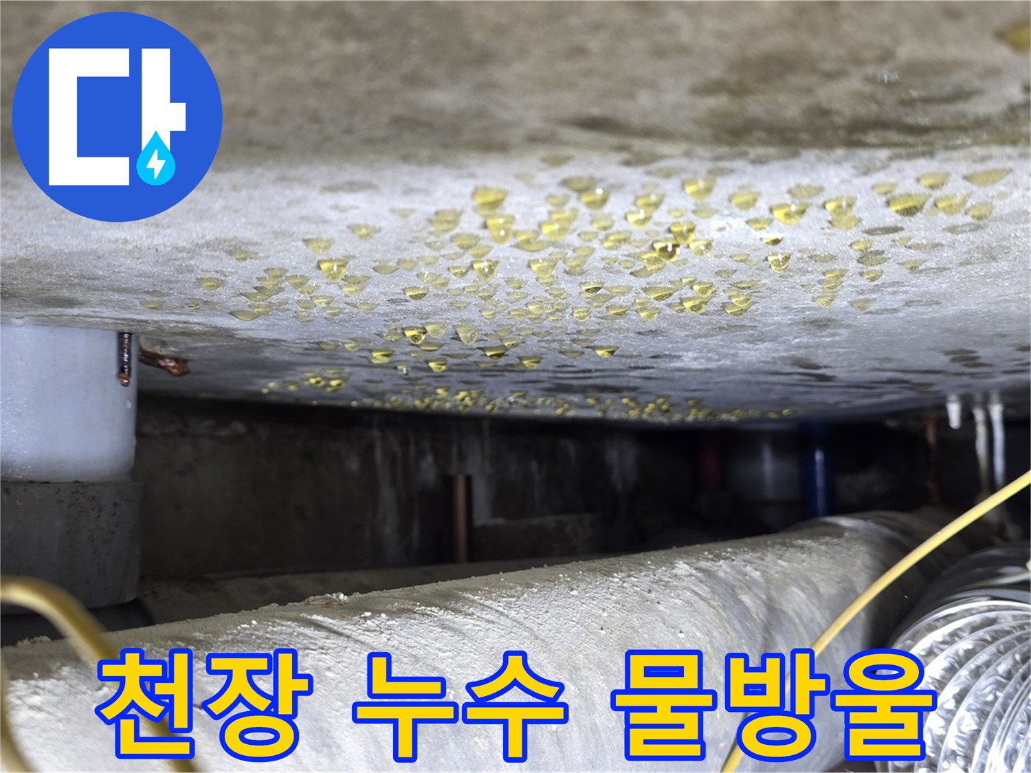 능동 아성빌라트 천장 누수 - 천장에 맺힌 물방울을 통해 누수 상황을 짐작할 수 있습니다.