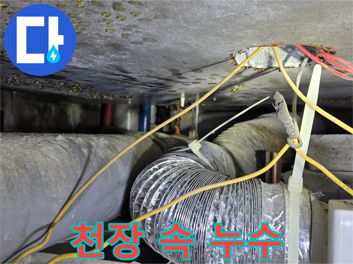 능동 아성빌라트 - 천장 속에 숨은 누수까지 완벽 탐지