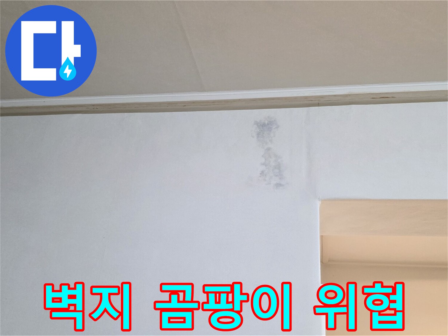 벽지 곰팡이 - 건강을 위협하는 벽지 곰팡이의 모습입니다. 즉시 전문가의 도움을 받으세요.