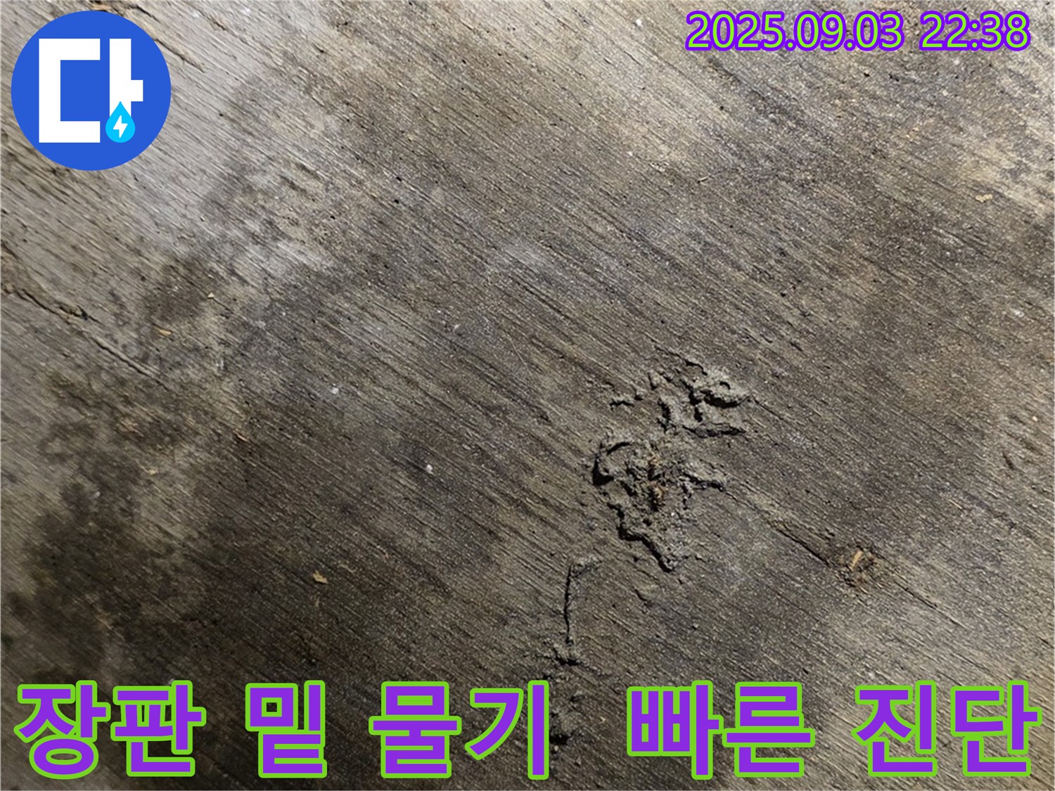 한강로2가 누수 현장 - 장판 밑에 물기가 있다면 용산 누수 전문가의 빠른 진단이 필요합니다.