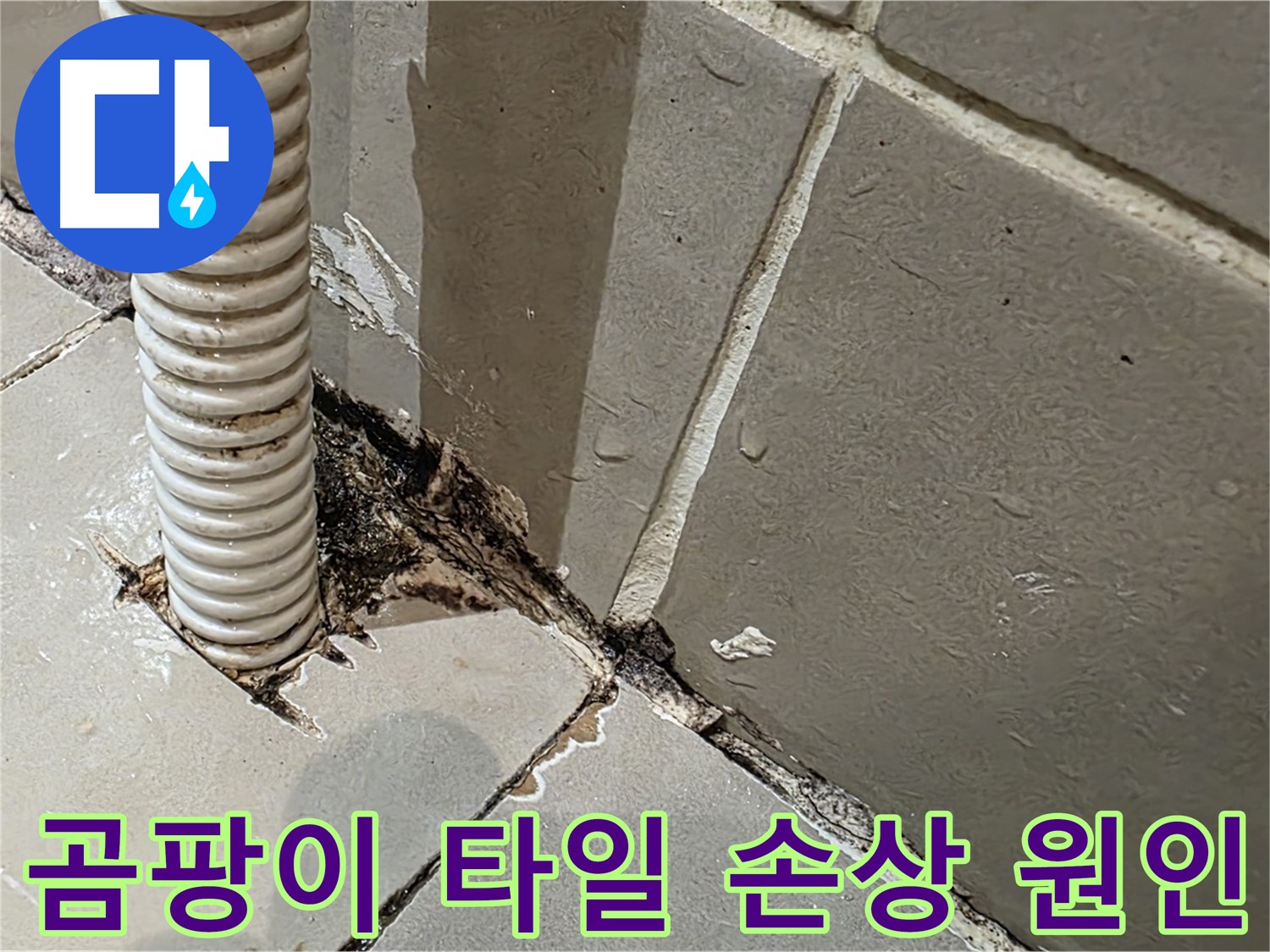 한강로2가 상가 화장실 누수 - 배관 주변 곰팡이와 타일 손상 원인 분석