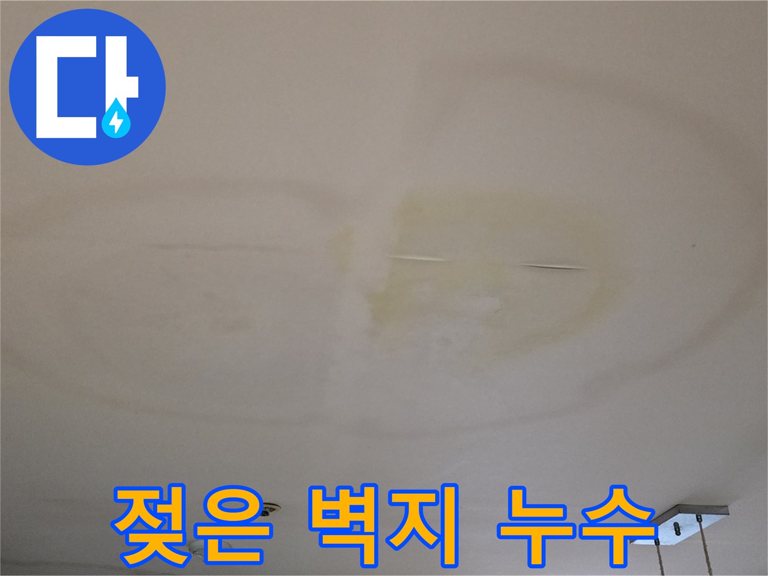 젖은 벽지 - 긴급 누수 점검 필요