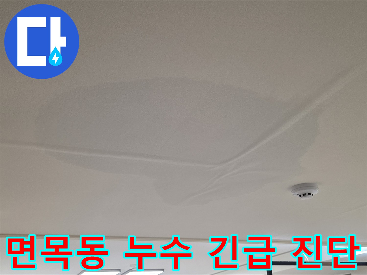 면목동 아파트 천장 누수 - 넓은 범위 물 얼룩 - 긴급 누수 진단 진행