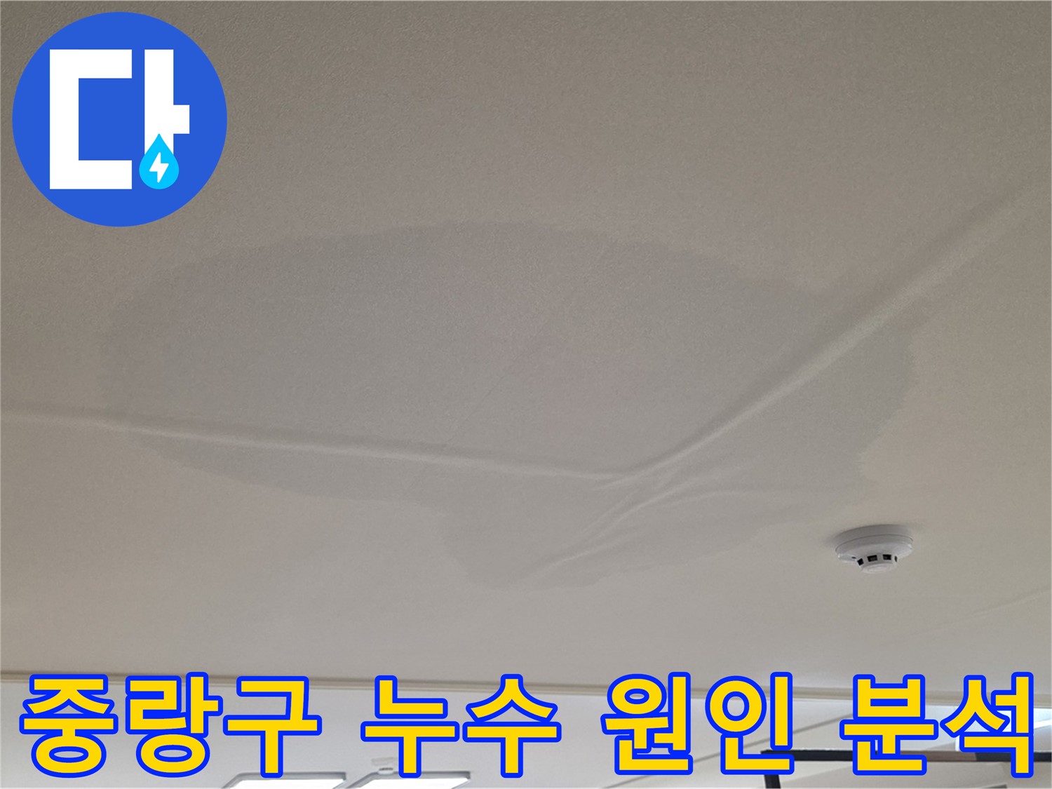 아랫집 천장 누수 - 넓은 범위 물 얼룩 - 누수 원인 정밀 분석 진행