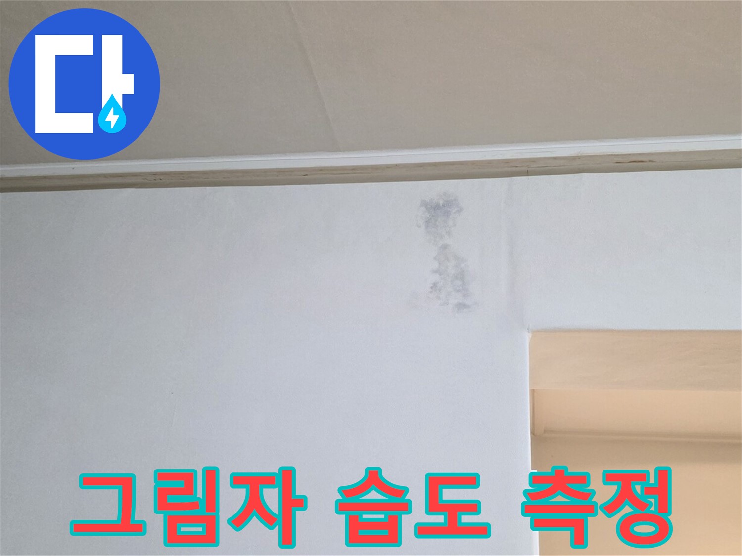 곰팡이 그림자 습도 측정 - 곰팡이 & 습기 정밀 분석