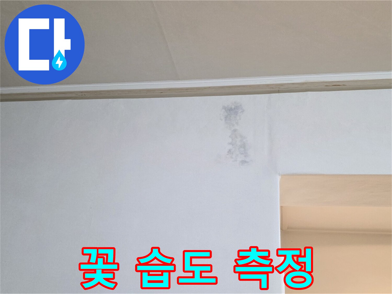 곰팡이 꽃 습도 측정 - 누수 & 곰팡이 정밀 검사