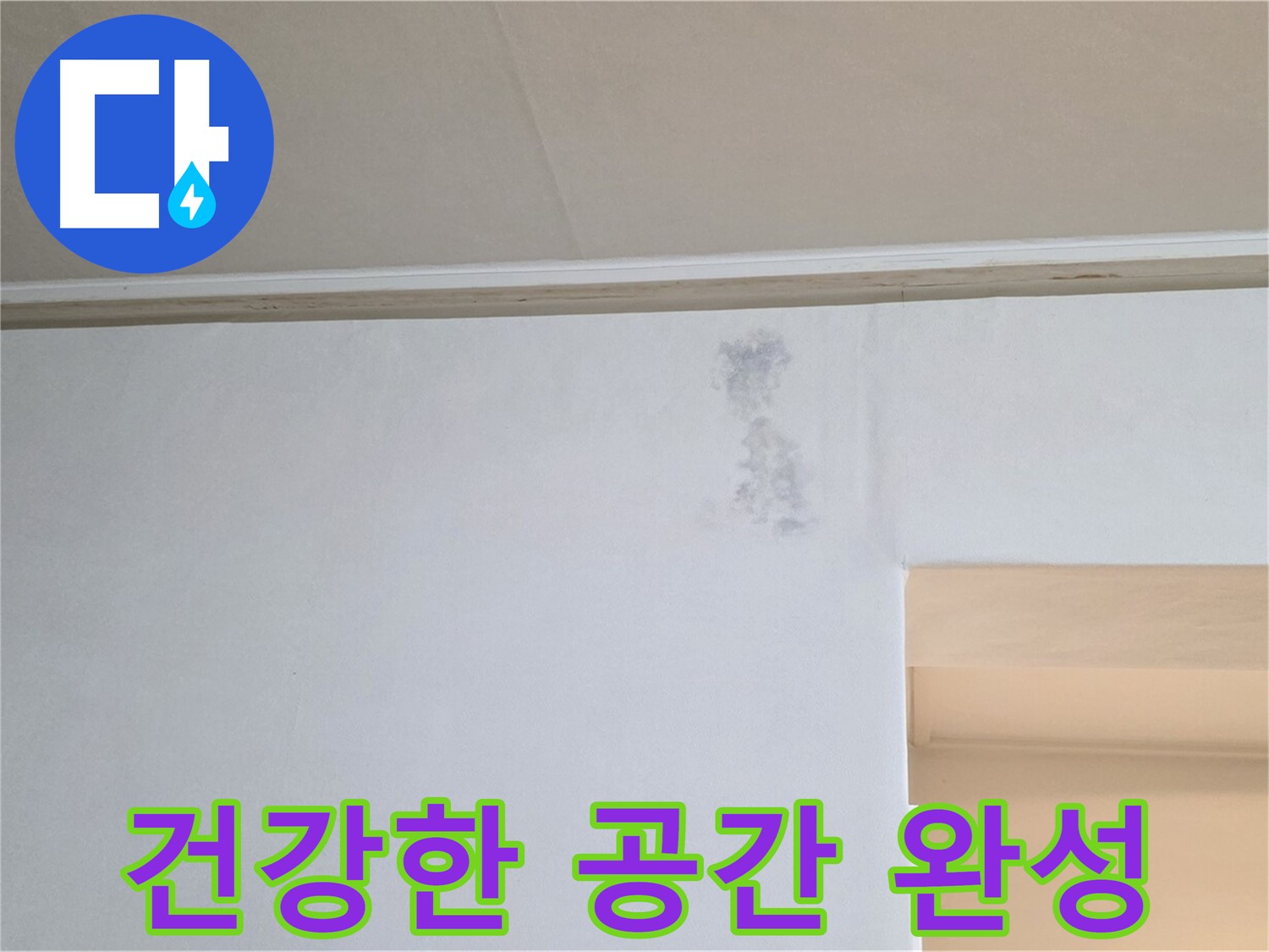 곰팡이 얼룩 없는 건강한 공간 - 행복한 삶으로 초대