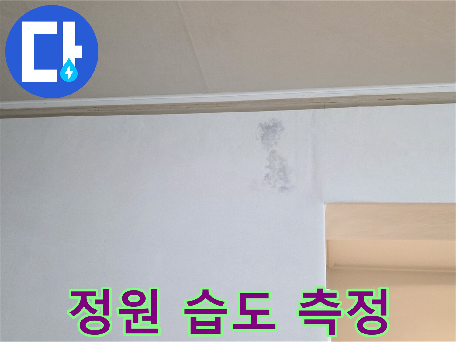 곰팡이 정원 습도 측정 - 누수 & 곰팡이 정밀 과학 검사