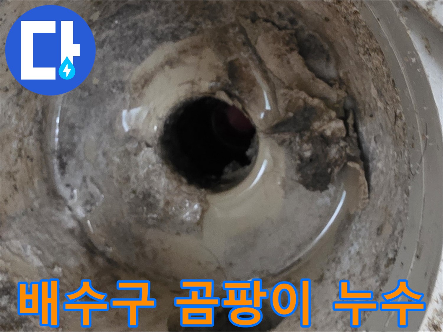 베란다 배수구 주변 곰팡이 발생 - 누수 가능성 진단 및 해결
