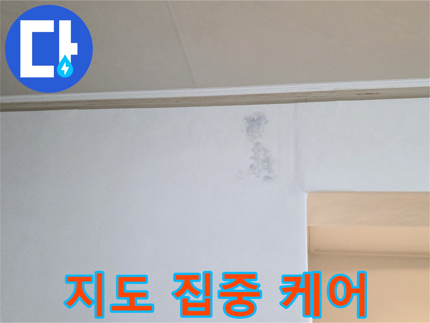 벽 곰팡이 지도 집중 케어 - 맞춤 솔루션 제공
