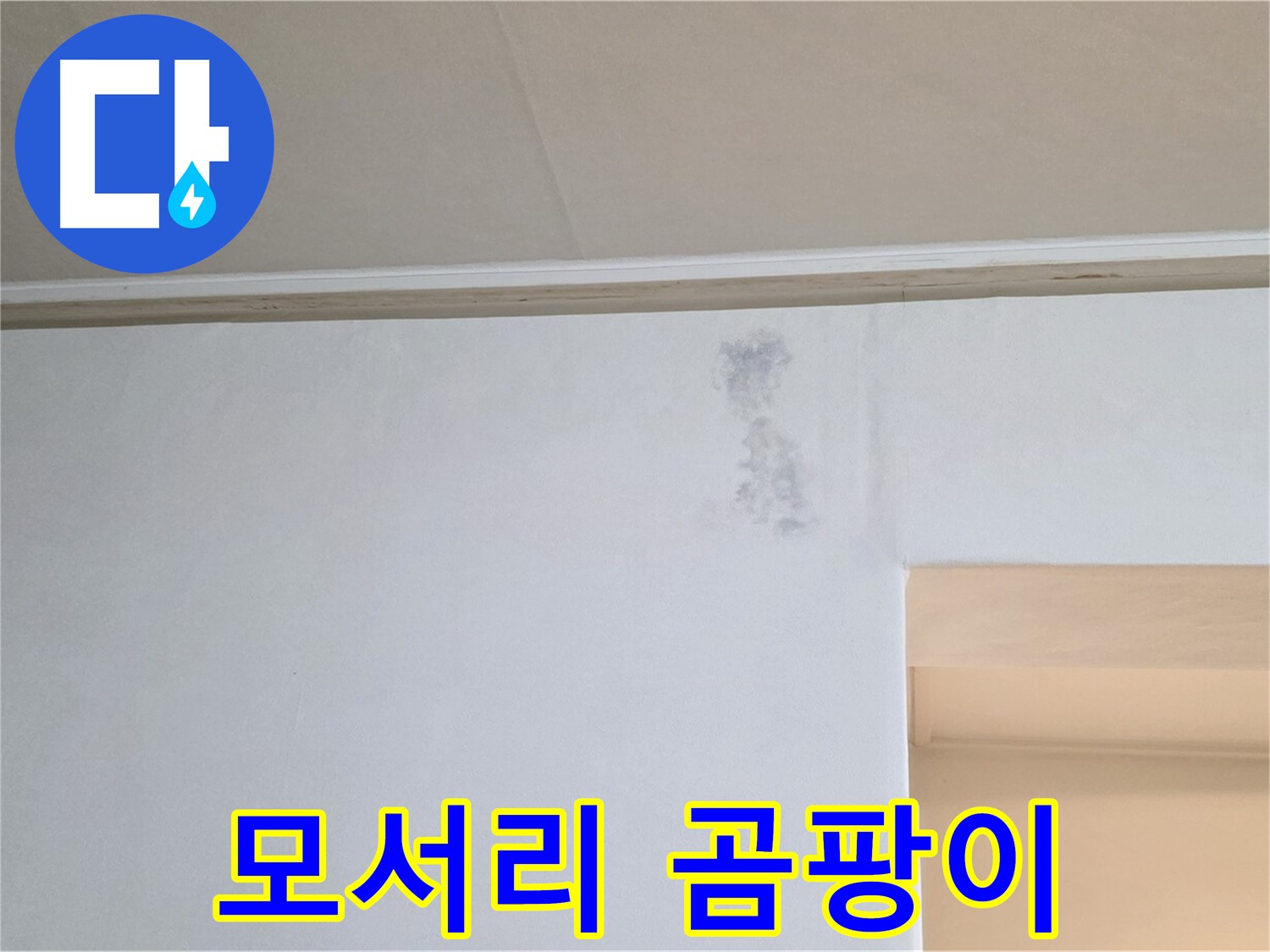 벽 모서리 곰팡이 - 누수 초기 의심