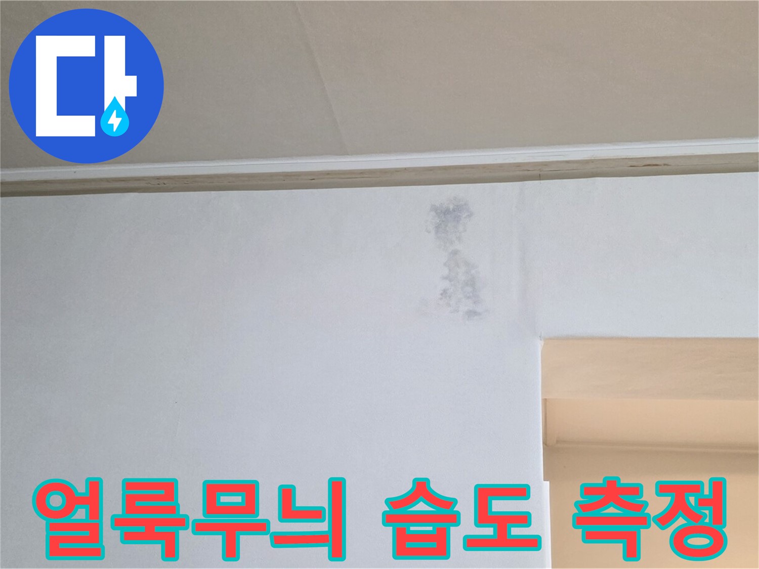 벽 얼룩무늬 습도 측정 - 곰팡이 & 누수 정밀 진단