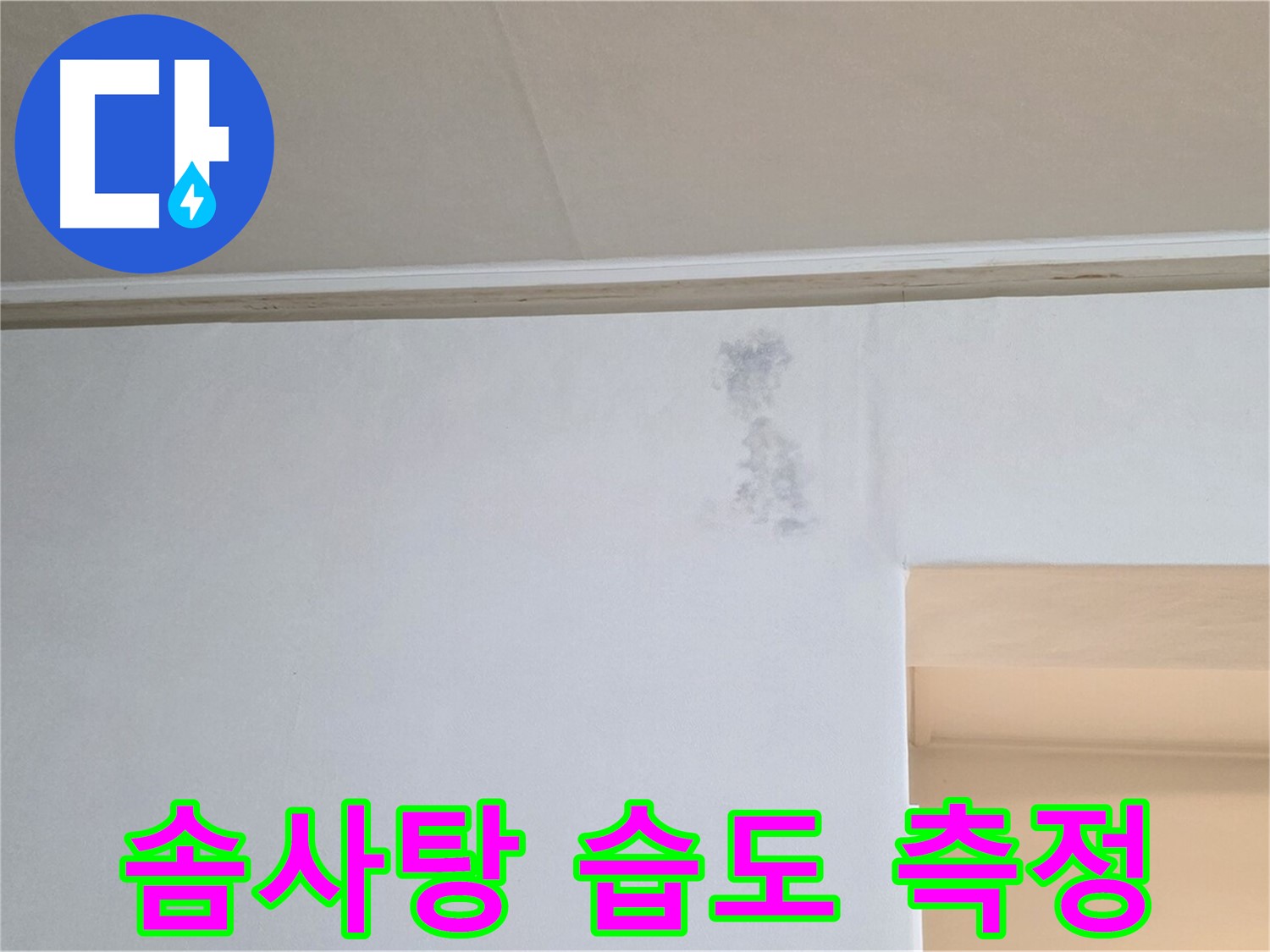 솜사탕 습도 측정 - 누수 & 곰팡이 정밀 과학 검사
