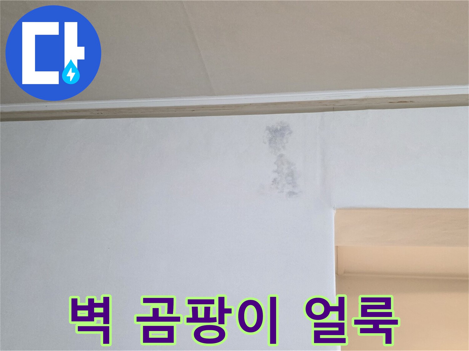 얼룩덜룩 벽 곰팡이 - 누수 긴급 점검
