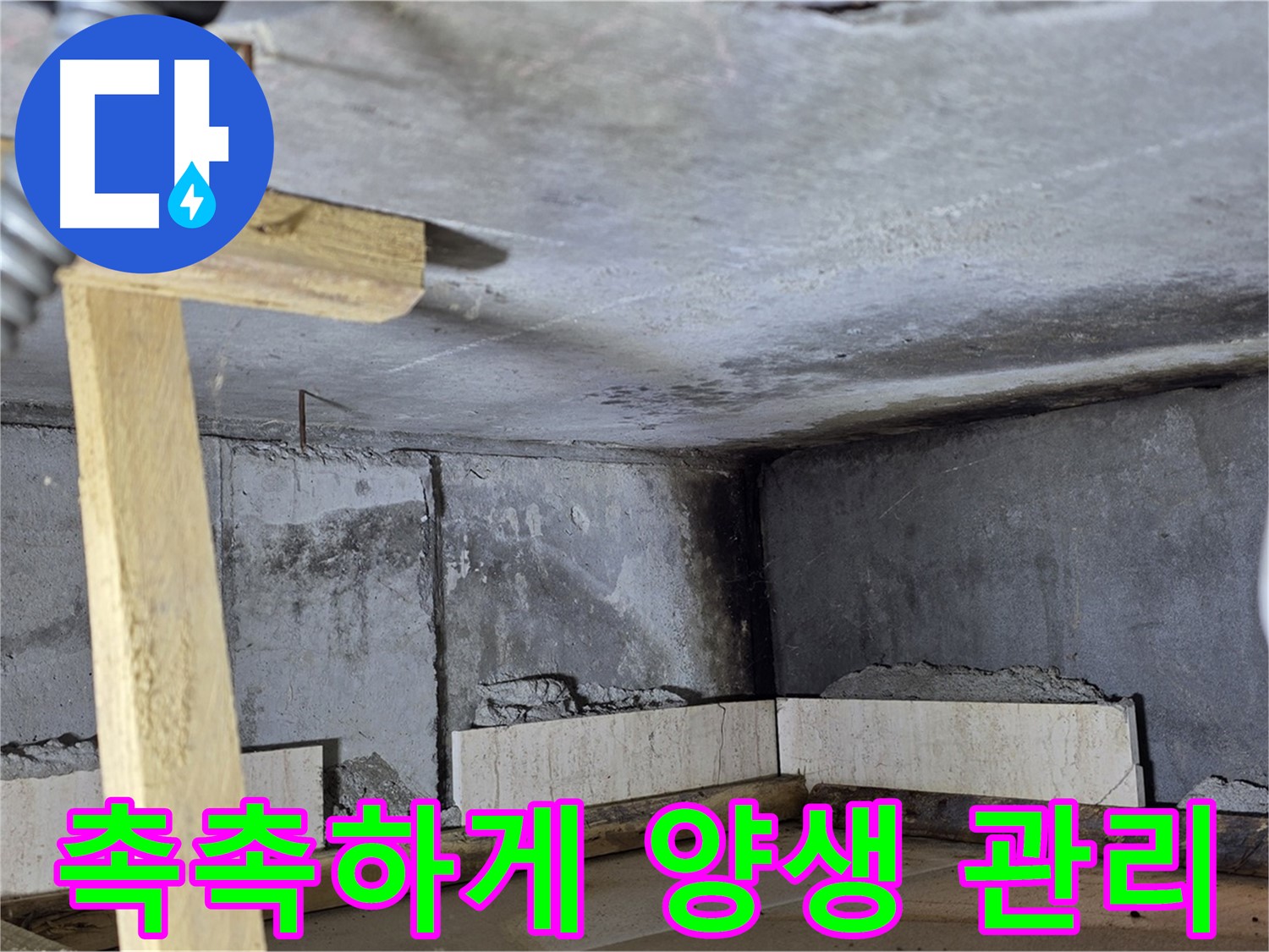 욕조 조적 시멘트 양생 - 습도 유지하며 천천히 굳히는 과정
