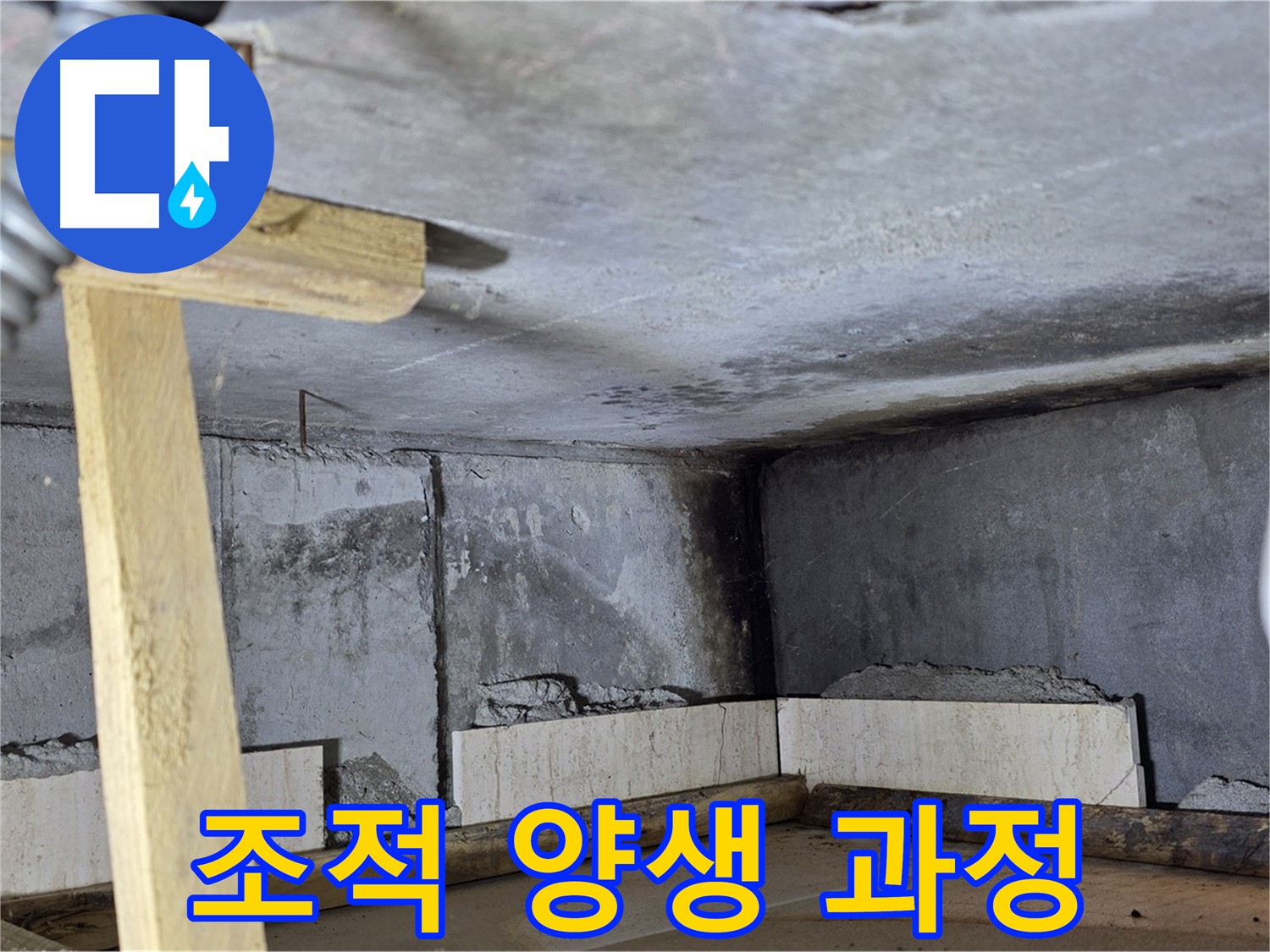 욕조 조적 양생 과정 - 자연 건조가 중요
