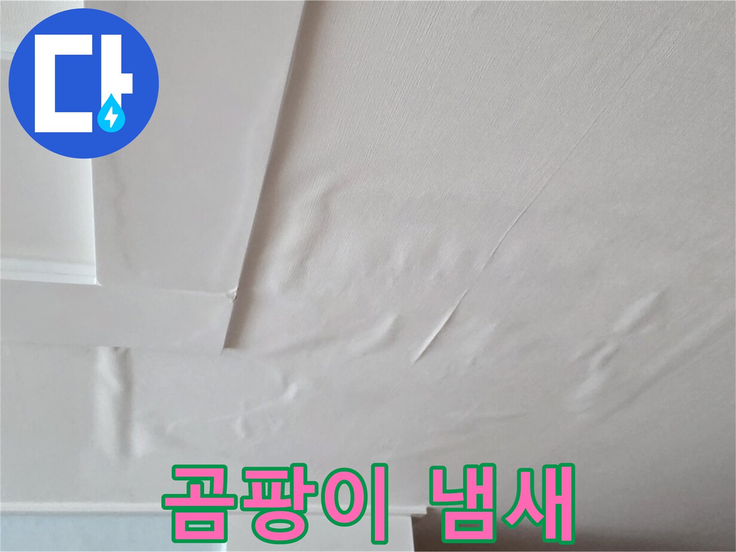 일동기산베스트빌 아파트 천장 누수 - 곰팡이 냄새 - 메스꺼움 유발