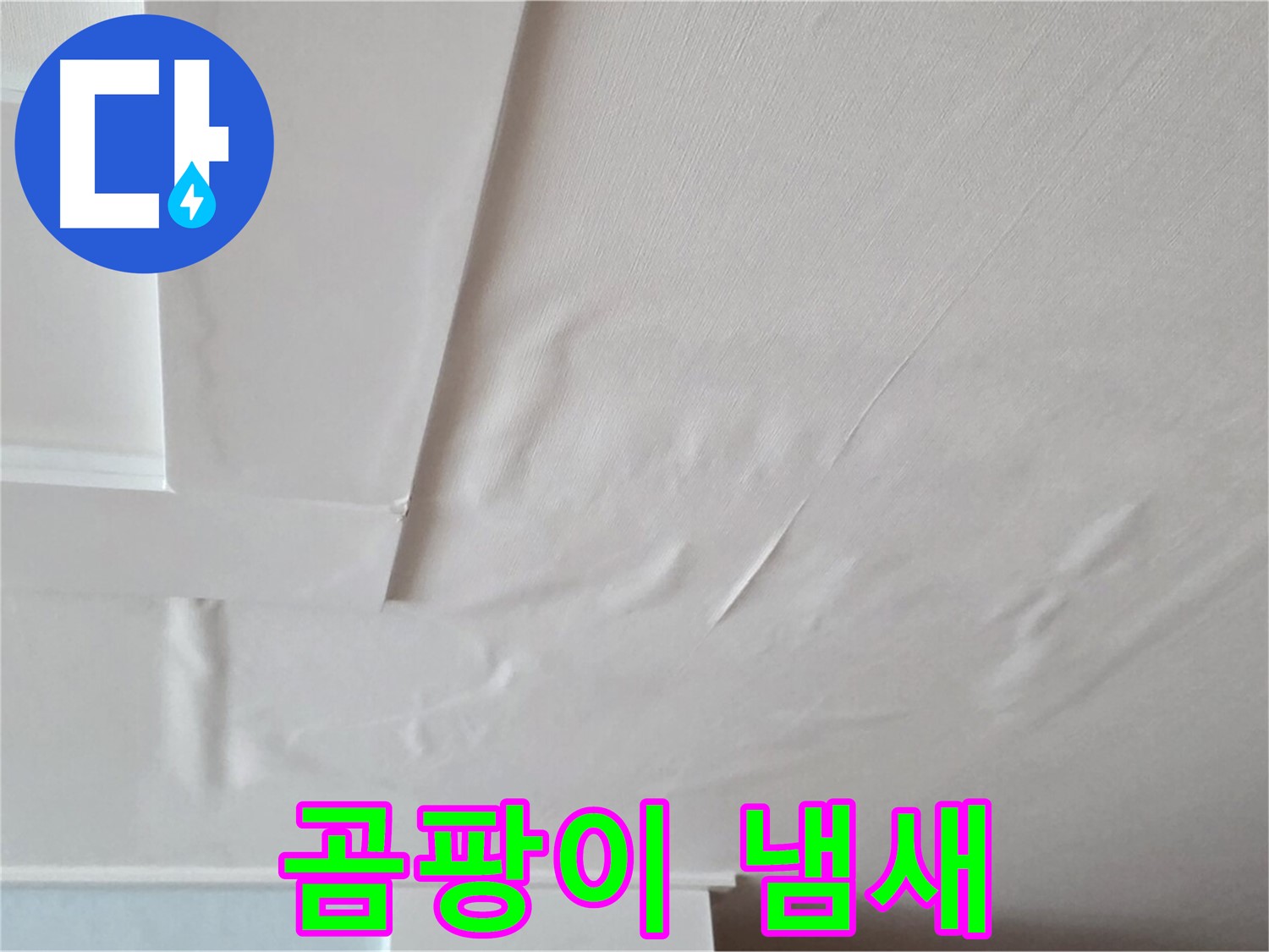 일동기산베스트빌 아파트 천장 누수 - 곰팡이 냄새 - 무기력증 유발