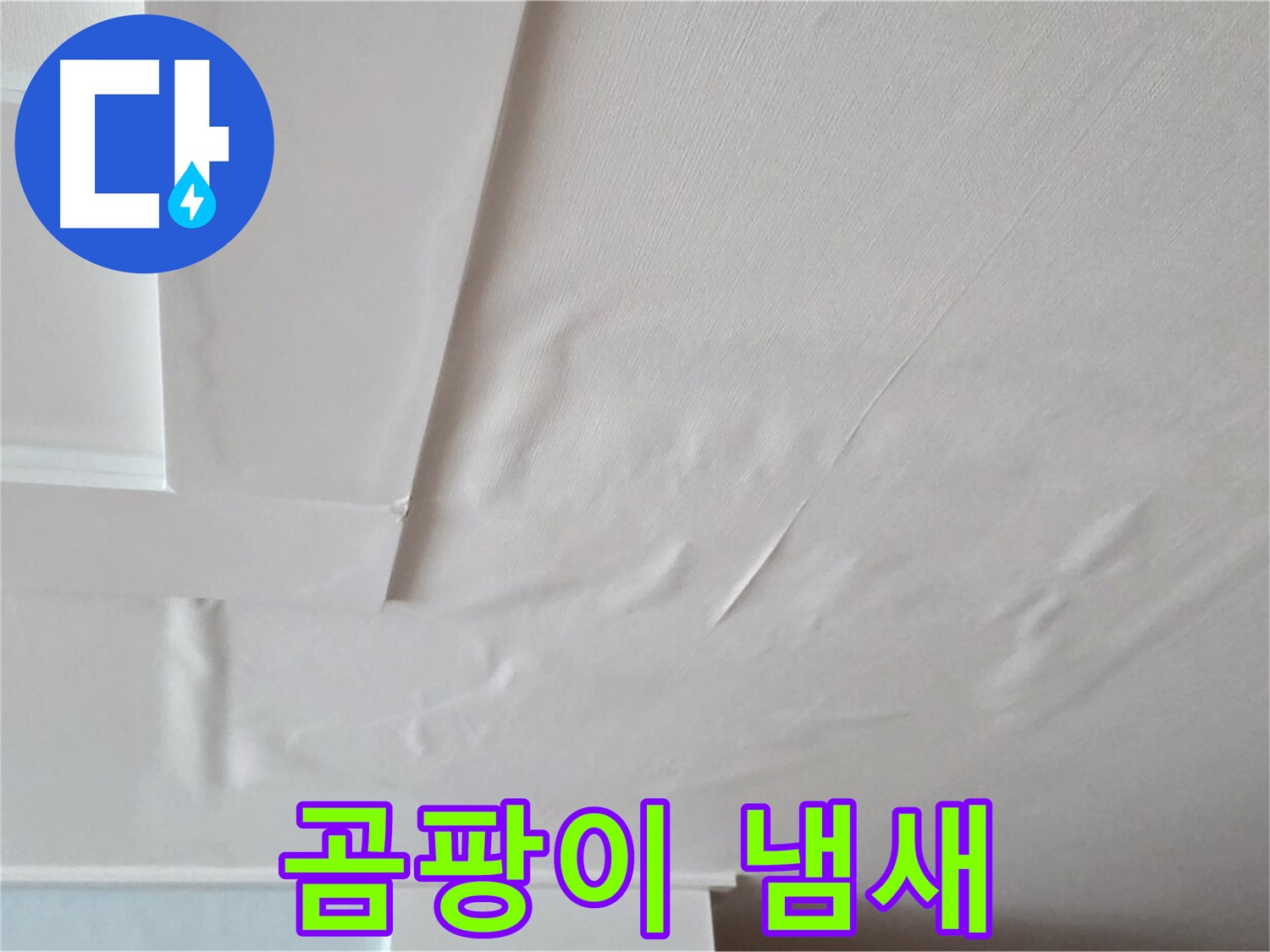 일동기산베스트빌 아파트 천장 누수 - 곰팡이 냄새 발생