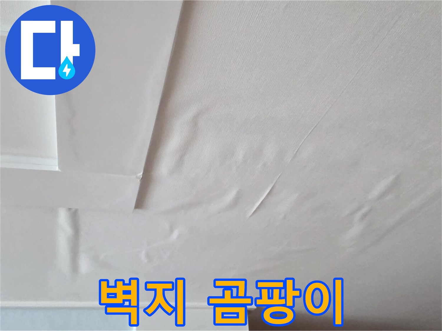 일동기산베스트빌 아파트 천장 누수 - 벽지 곰팡이 발생