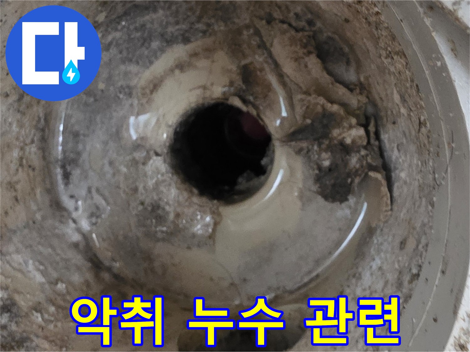 포천 일동 기산베스트빌 아파트 - 베란다 배수구 악취, 누수와 관련 있을 수 있습니다!