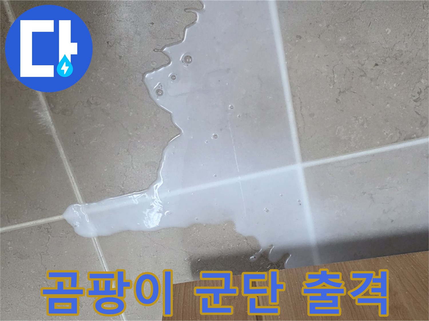 포천 일동 기산베스트빌 아파트 - 씽크대 누수로 인해 곰팡이가 번식하기 시작한 모습 - 곰팡이 군단 출격 준비?!